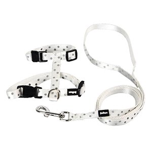 ARNES+CORREA GATO ANIMAL PRINT T-XS BLANCO